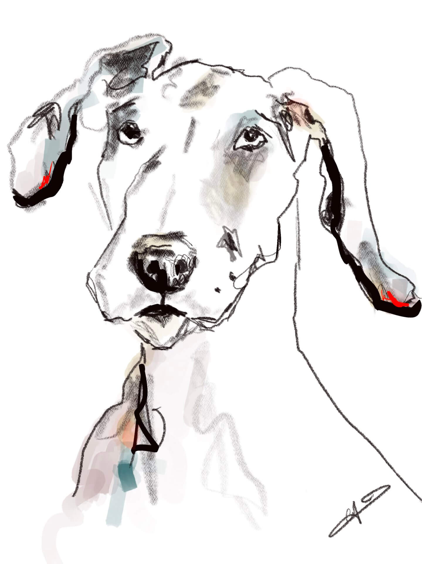 Dog Drawings7